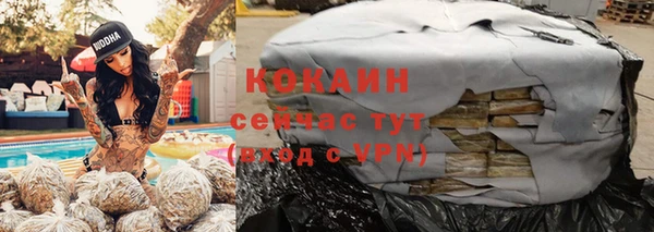 соль ск Богородицк