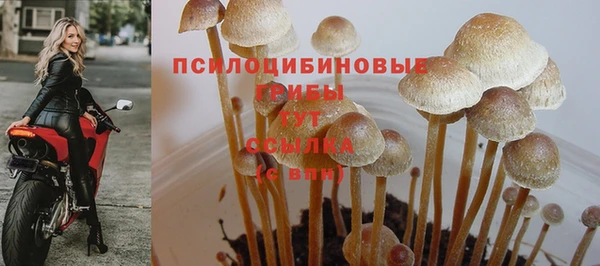 Альфа ПВП Бронницы