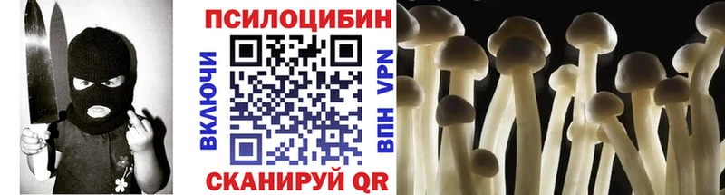 ссылка на мегу рабочий сайт  как найти наркотики  Бузулук  Псилоцибиновые грибы мицелий 