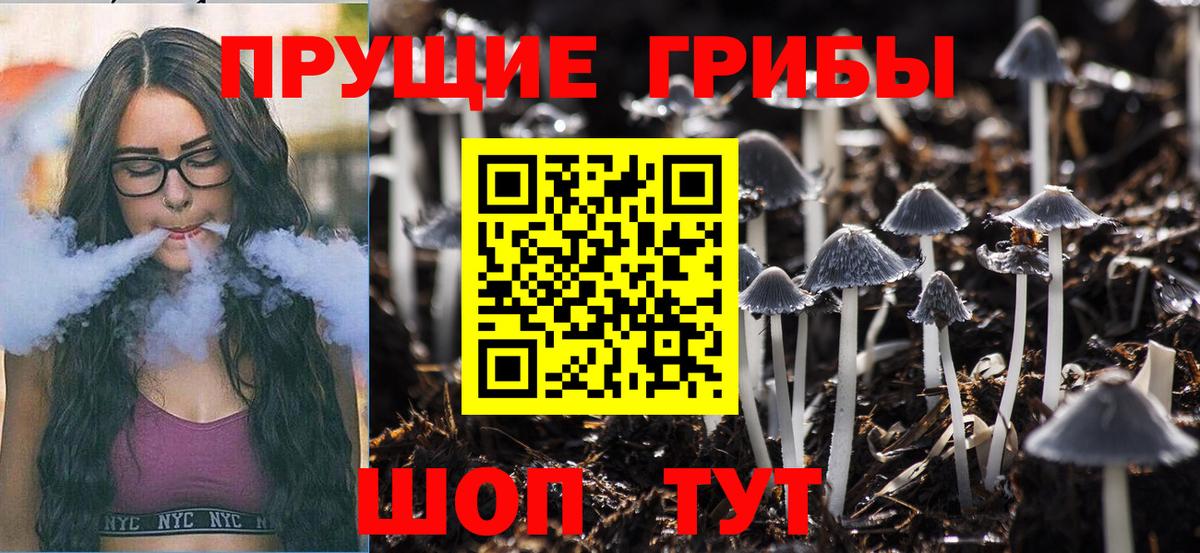 Бузулук  магазин продажи наркотиков  Вход с VPN  Галлюциногенные грибы GOLDEN TEACHER  Галлюциногенные грибы мухоморы 
