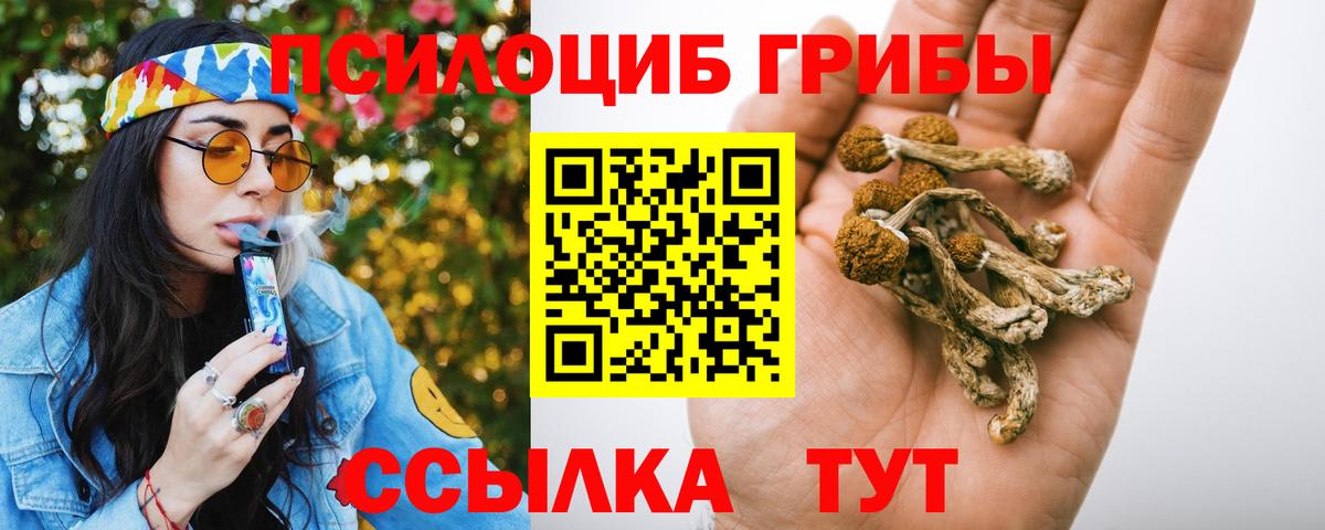 Псилоцибиновые грибы мухоморы Бузулук